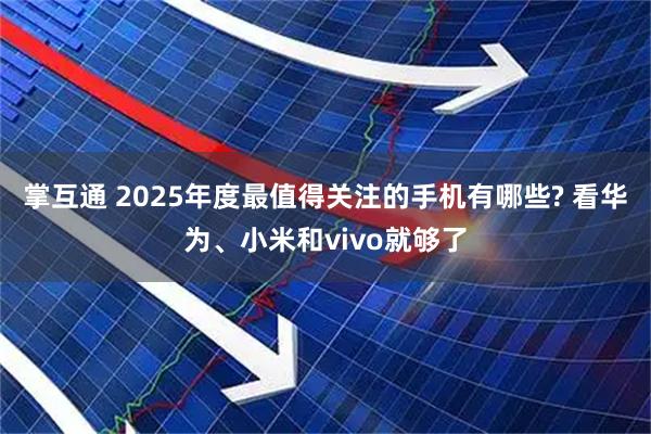 掌互通 2025年度最值得关注的手机有哪些? 看华为、小米和vivo就够了