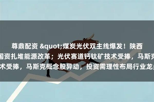尊鼎配资 "煤炭光伏双主线爆发！陕西黑猫领衔焦化转型，山西国资扎堆能源改革；光伏赛道钙钛矿技术受捧，马斯克概念股异动，投资需理性布局行业龙头。"