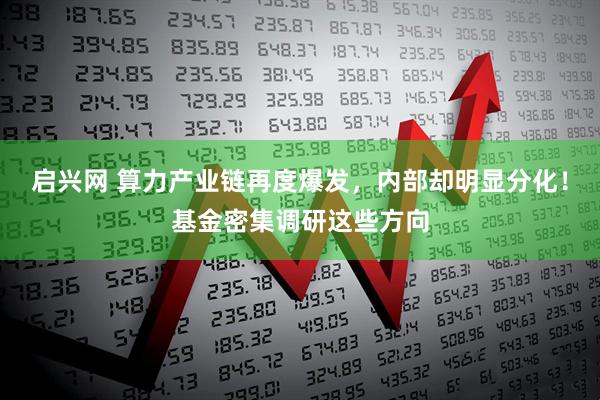 启兴网 算力产业链再度爆发，内部却明显分化！基金密集调研这些方向