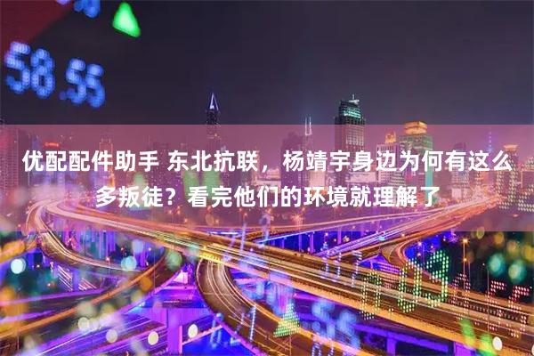 优配配件助手 东北抗联，杨靖宇身边为何有这么多叛徒？看完他们的环境就理解了